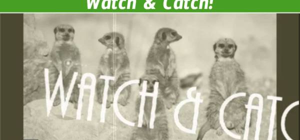 Watch & Catch: An Interactive Music Video ESL Activity for A2+ Learners